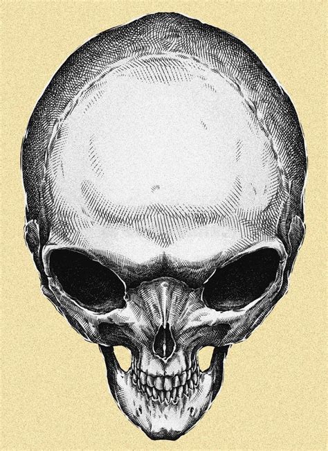 Image result for Alien Skull Drawing Line Art
