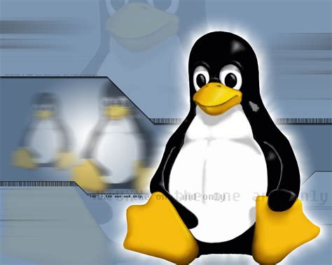 Image result for Linux Penguin Windows