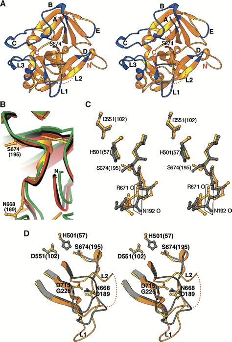 Complement Factor B Gene に対する画像結果