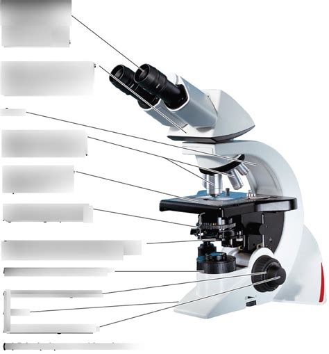Image result for Compound Microscope Lens Diagram