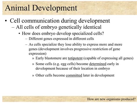 Image result for Animal Development