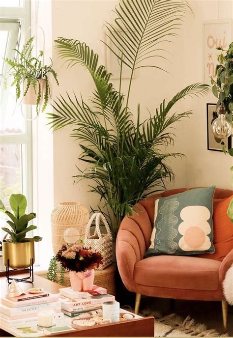 Image result for Creative Display Home Decor