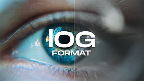 Image result for Photo Log Example