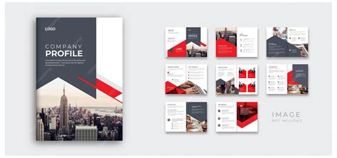 Image result for Project Profile Examples