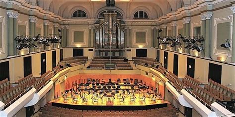 Image result for Dublin Messiah