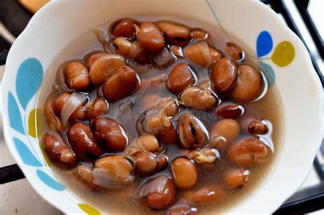 Image result for Growing Garlic From Seed Heads