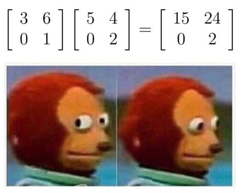 Image result for Matrix Factorization Meme