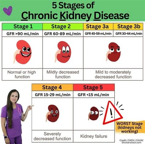 Image result for GFR 59 CKD Stage
