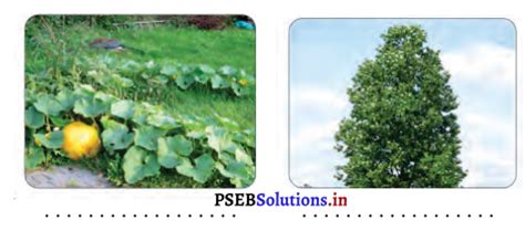 Class 3rd EVS Book PSEB に対する画像結果