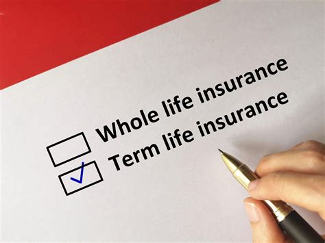 Image result for Best Term Life Insurance