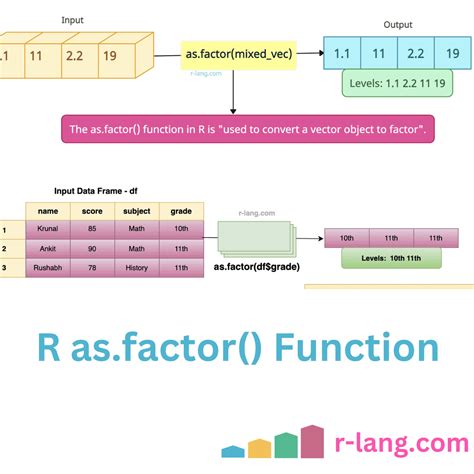 Factor Function In R に対する画像結果
