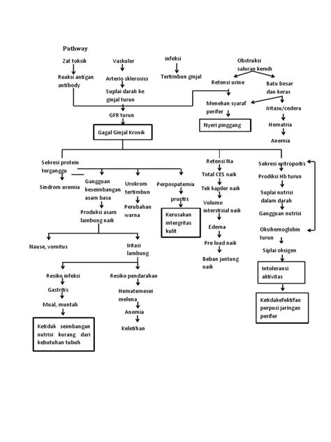 Image result for CKD Final Common Pathway