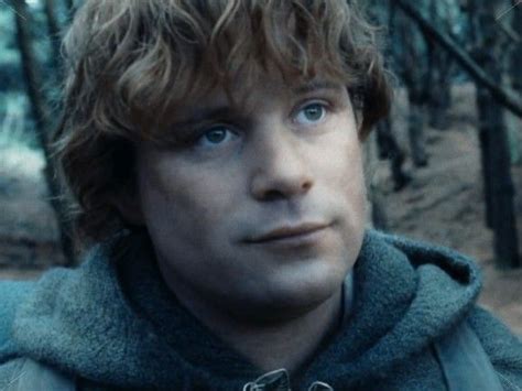 Image result for Samwise Gamgee Smile