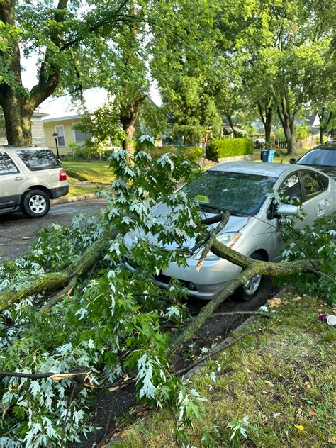 Image result for Cross Trainer SXT Pumps Two 5662