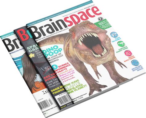 Image result for Back Issues Magazines Bundle