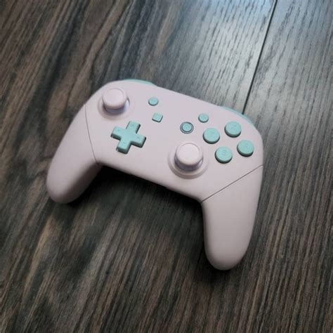 Image result for Custom Nintendo Switch Pro Controller