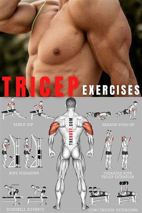 Tricep Workouts for Men に対する画像結果