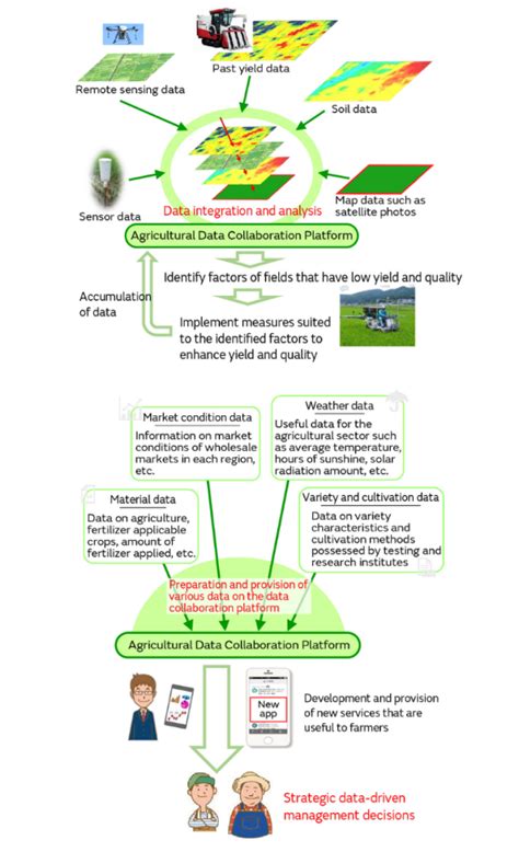 Agri Coding Practice に対する画像結果