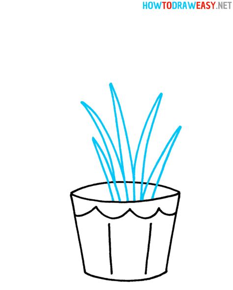 Image result for How to Draw a Plant Digital