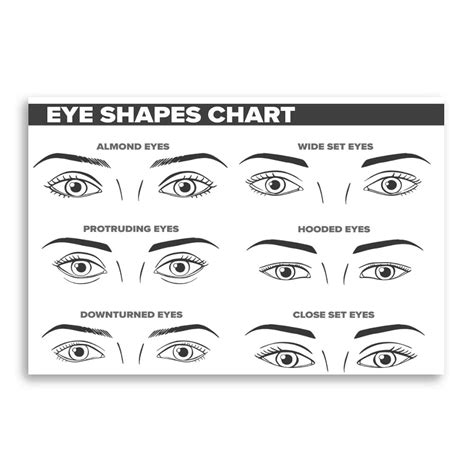 Image result for Different Eye Shapes Chart