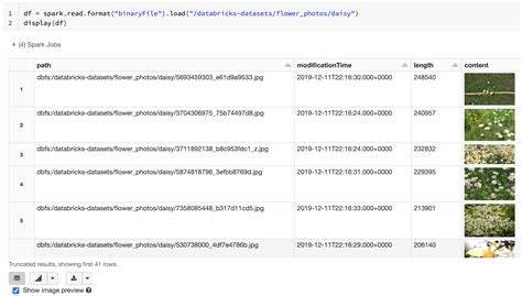 Toradh íomhá ar Databricks Display Files Under File Stores