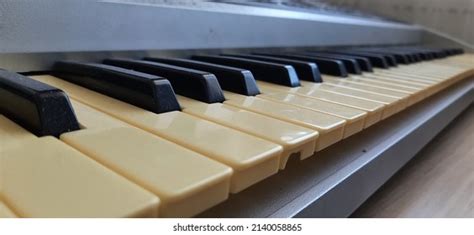 Image result for Synthesizer Keyboard