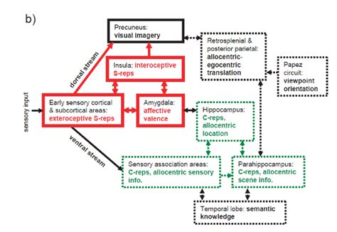 Image result for Encoding Memory