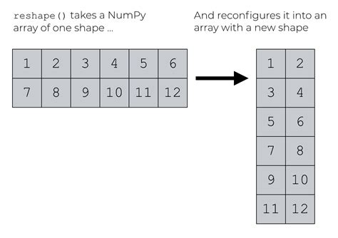 Afbeeldingsresultaten voor Numpy Usage