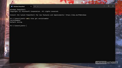 Toradh íomhá ar How to Find Serial Key