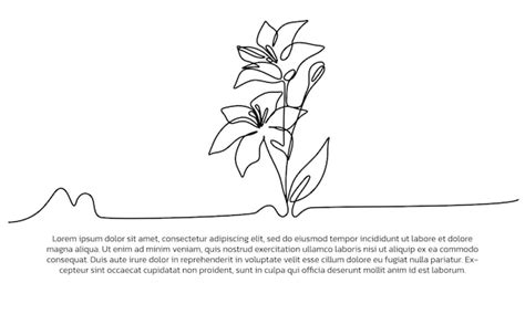 Afbeeldingsresultaten voor Minimal Continuous Line Drawing