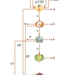 Afbeeldingsresultaten voor In Mathematical Schematic Model of Algorithm