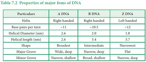 Toradh íomhá ar Difference Between Type and Form