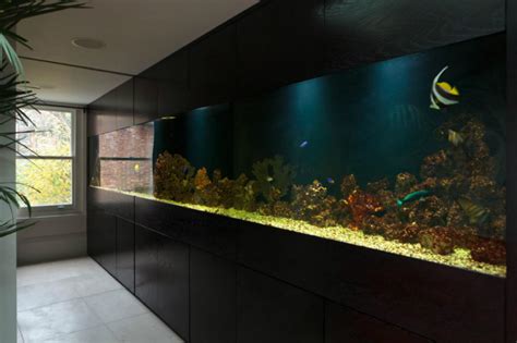 Image result for Modern Fish Tank