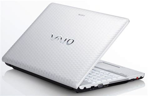 Image result for Sony Vaio Portable Computer