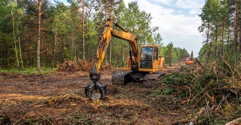 Toradh íomhá ar Buldozer Clearing Trees