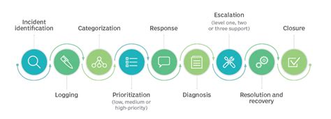 Image result for Bug and Defect Difference in Software Testing