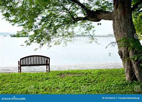 Toradh íomhá ar Bench Under Tree Round