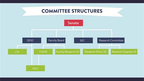 Image result for Committee Organisation Structure
