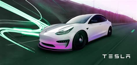 Behavioral Segmentation Tesla に対する画像結果