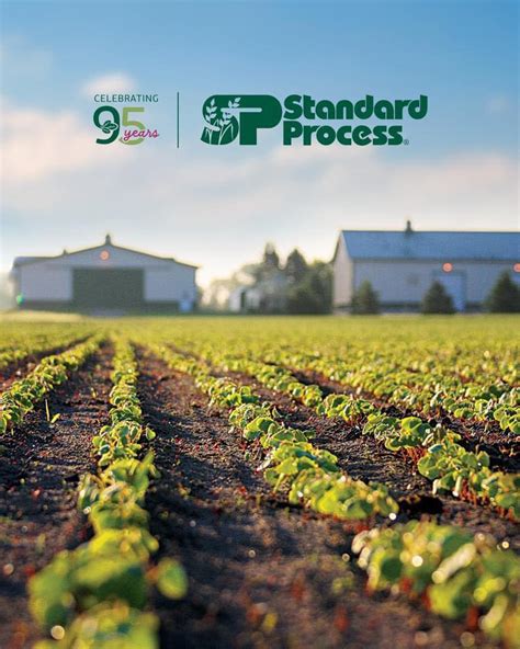 Image result for Standard Process Palmyra WI