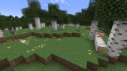 Birch Forest – Minecraft Wiki