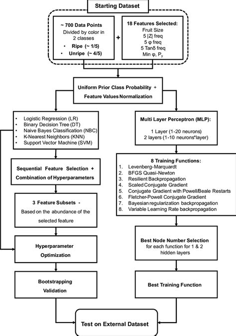 Image result for Algorithm for Training