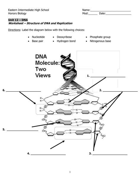 Image result for DNA Model Worksheet