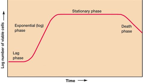Image result for Generation Time Graph Micro Lag Log Phase