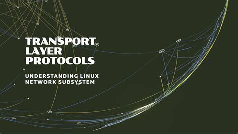 Software Linux Portability Layer に対する画像結果