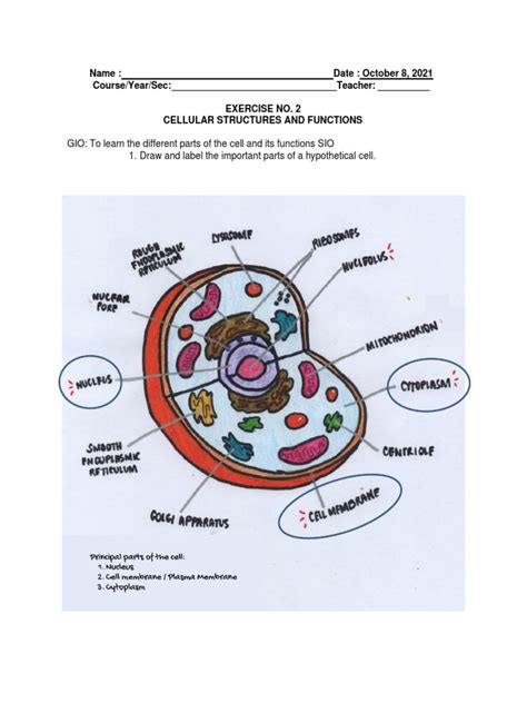 Cell Structure Lab に対する画像結果