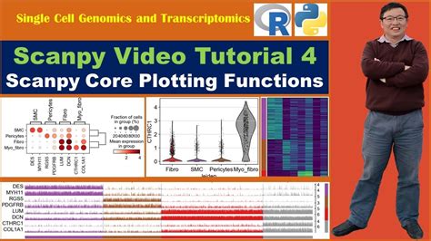 Image result for Scanpy Tutorial IPython