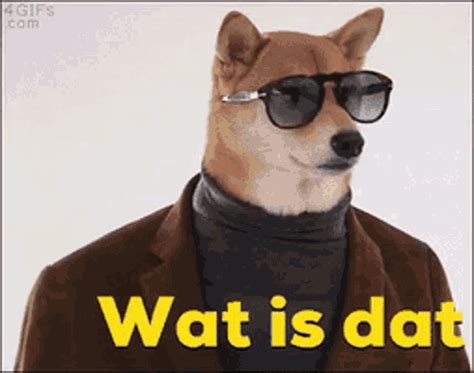 Toradh íomhá ar Scene Wat Is Dat