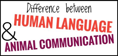 Difference Between Human Language and Computer Language に対する画像結果
