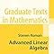 Image result for Graduate Linear Algebra Textbook